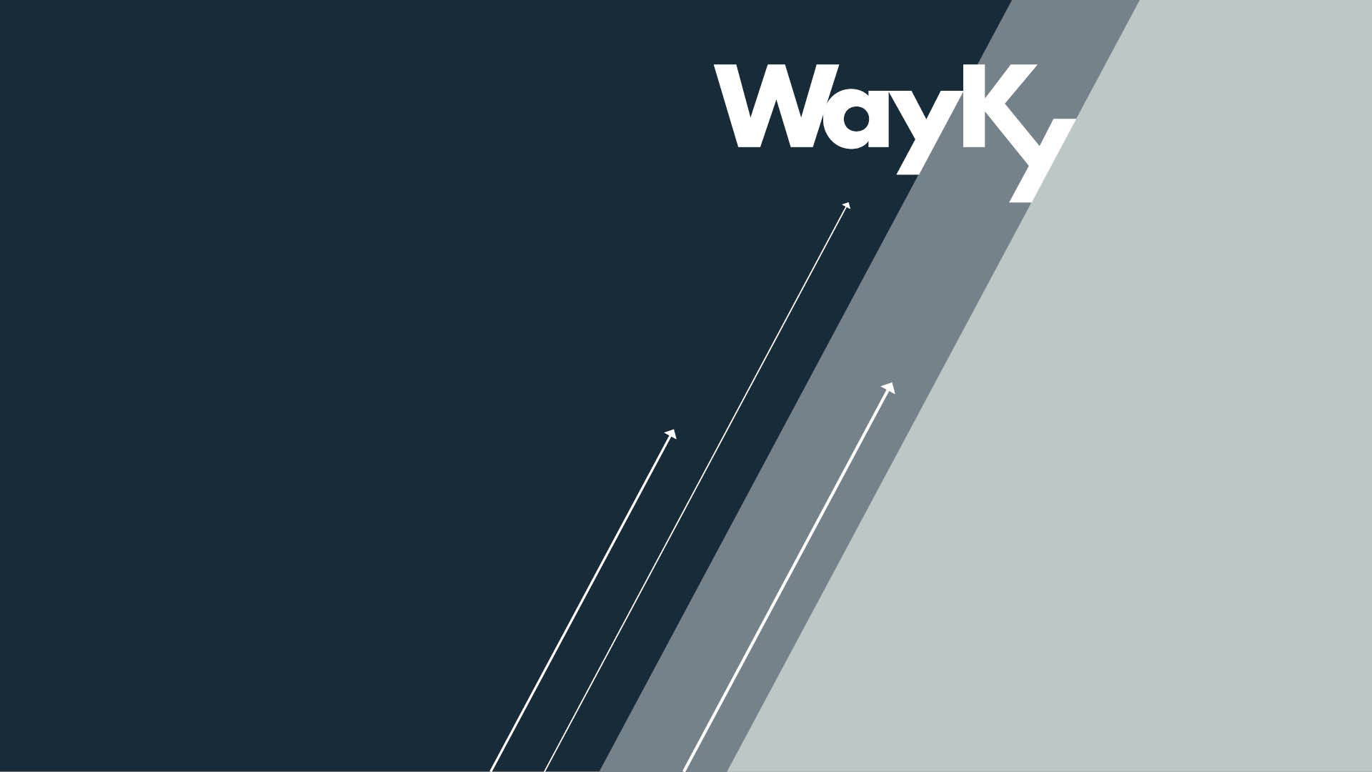 Identità visiva applicata al marchio - Wayky Srl
