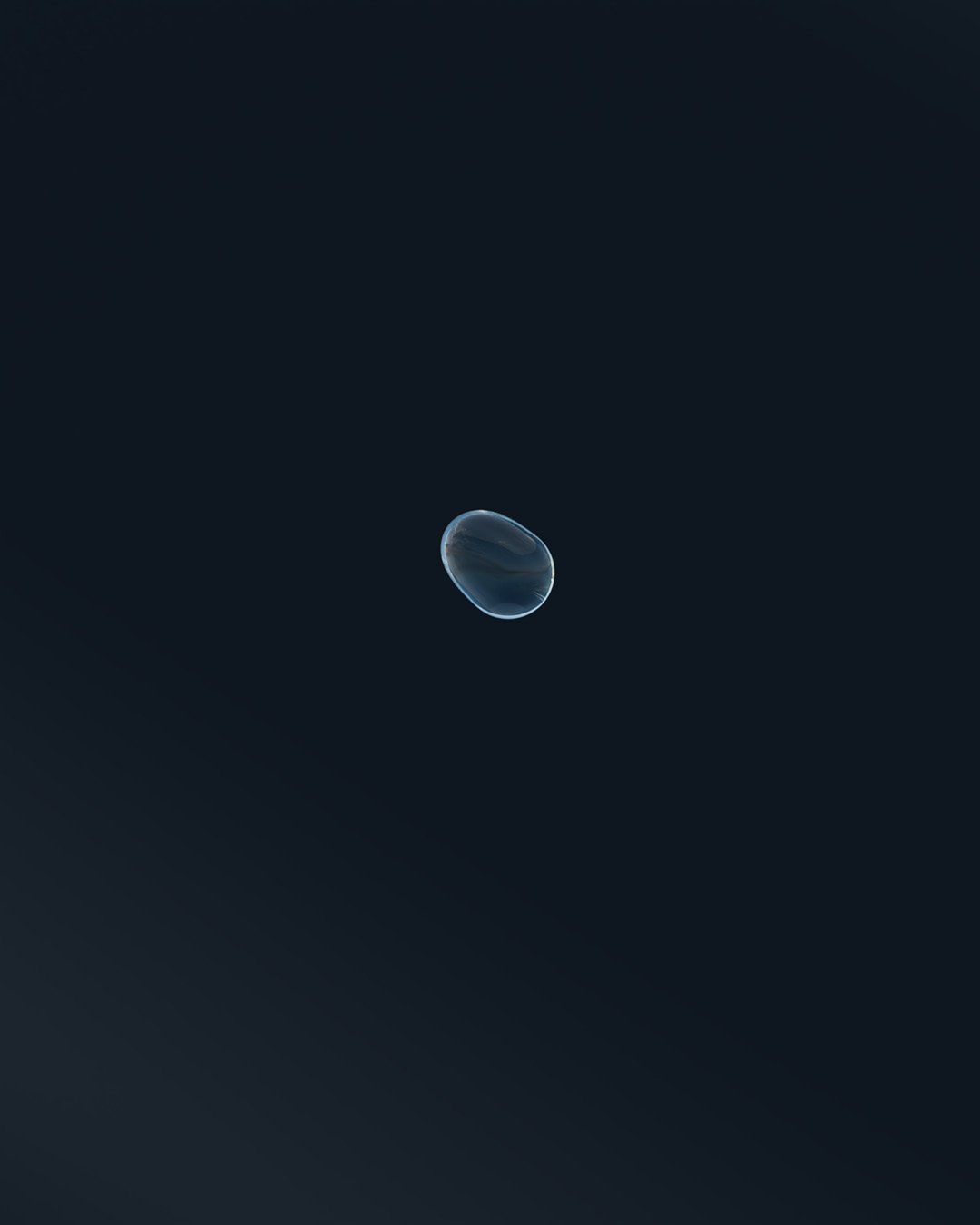 Spot pubblicitario Salvatore Robuschi