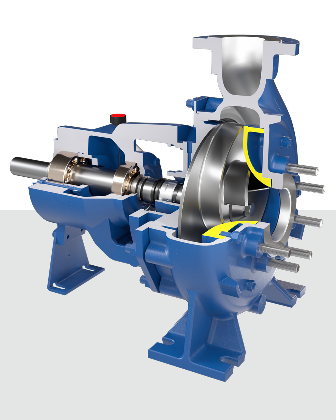 Modellazione 3D Salvatore Robuschi