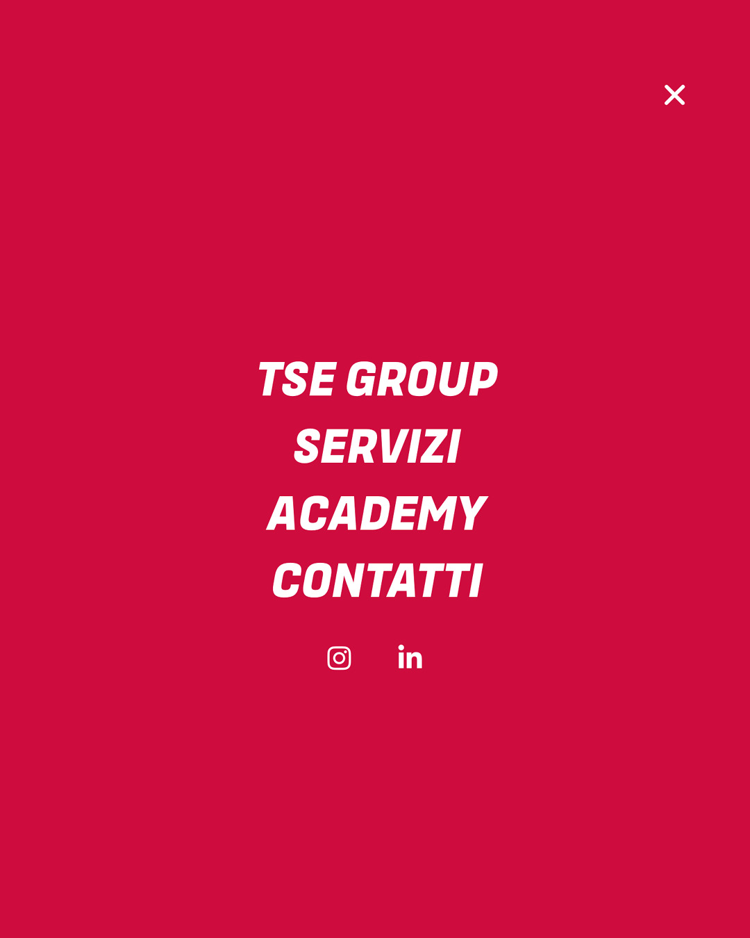 Sito web TSE Group