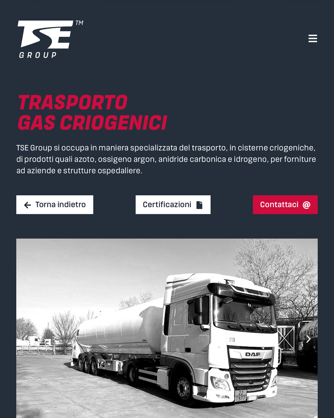 Sito web TSE Group