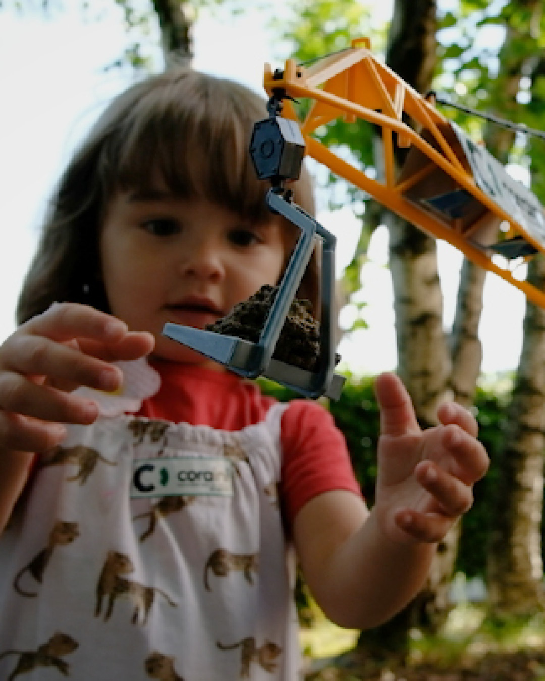 Video corporate Coraini