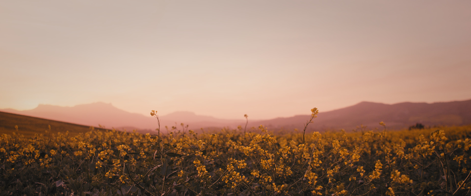 Cortometraggio Visitor Center Sicilia