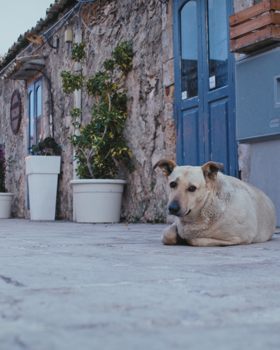 Cortometraggio Visitor Center Sicilia