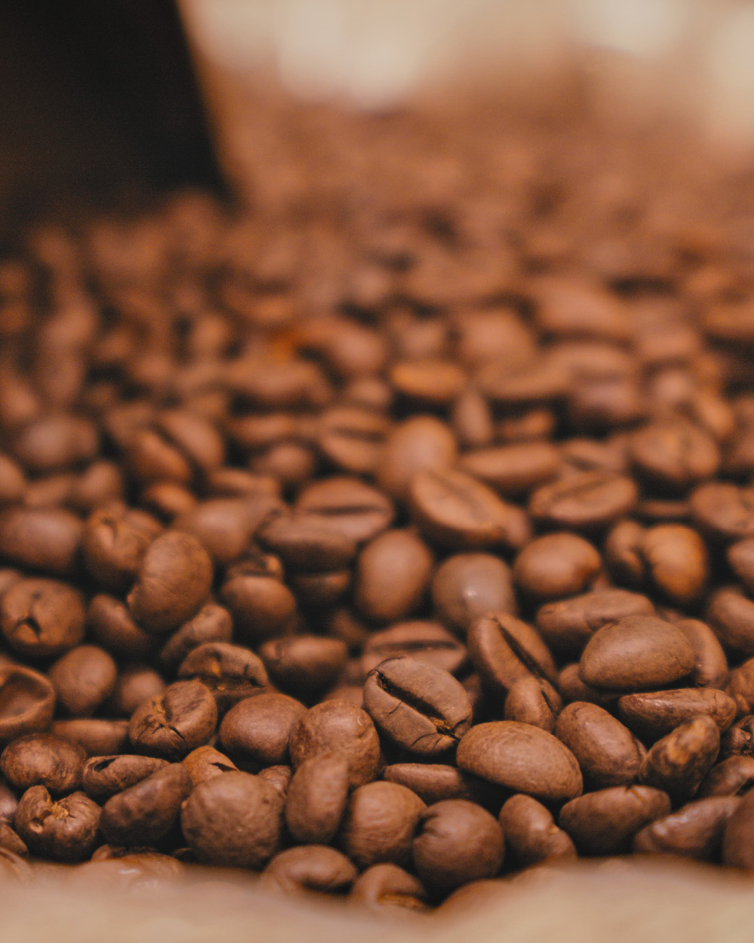 Cortometraggio Visitor Center Sicilia